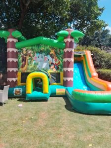 IMG 20260325 WA0031 225x300