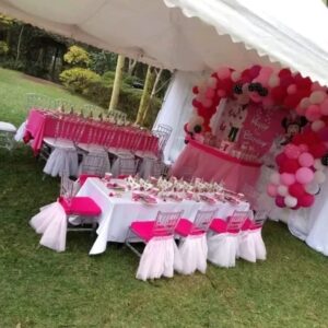 IMG 20260414 WA0025 300x300